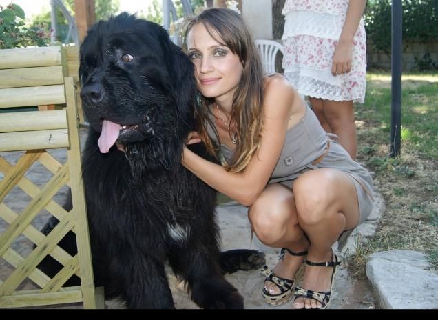 dolcemente innamorati