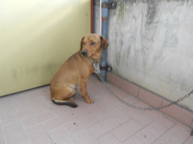 denny  e la sua energia