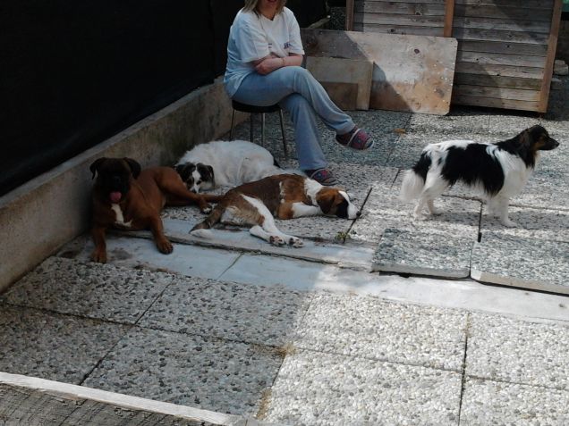 I quattro moschettieri