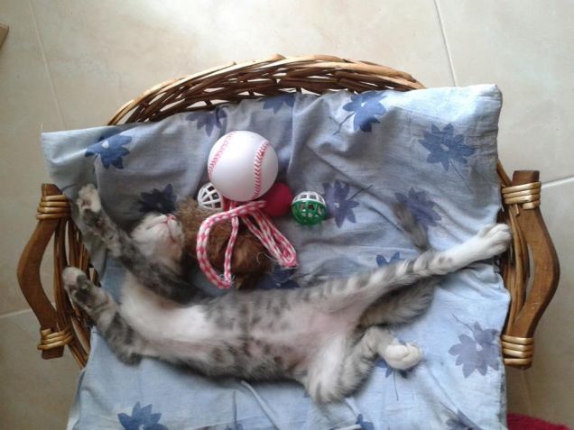 Kimie la mia diavoletta...