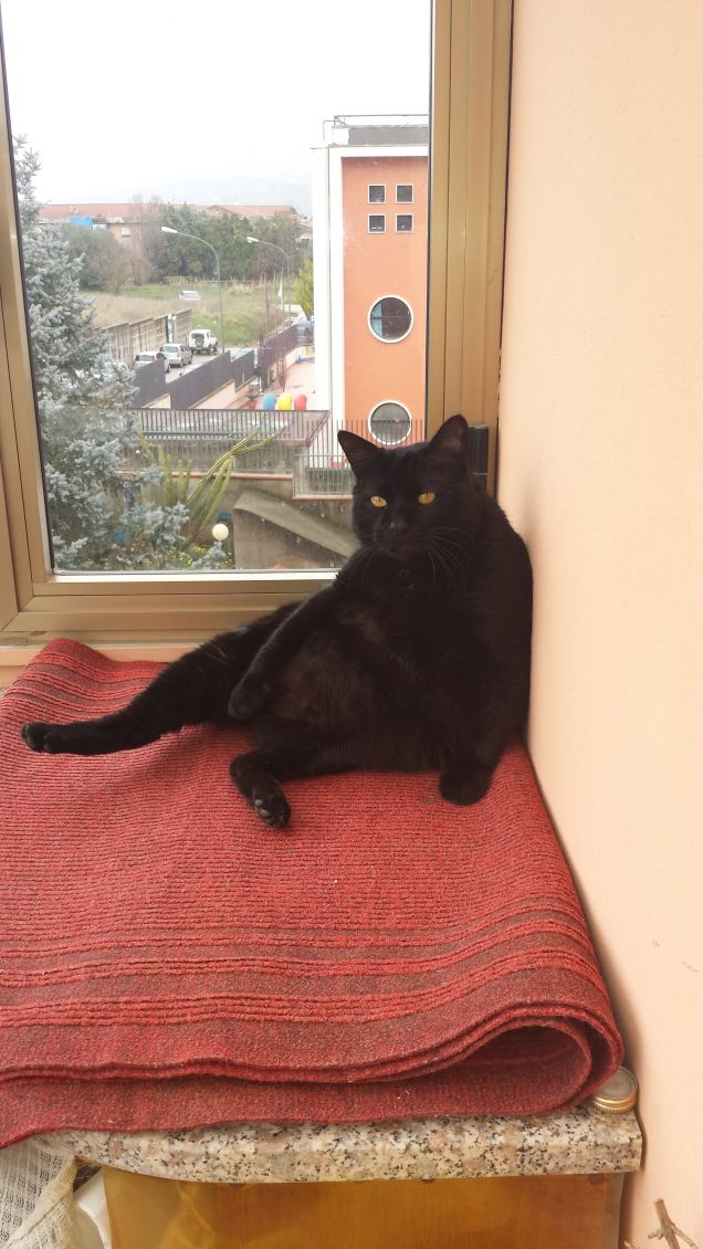 'Oh si.. questa è una vitaccia!'