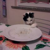 la giornata di willi..........