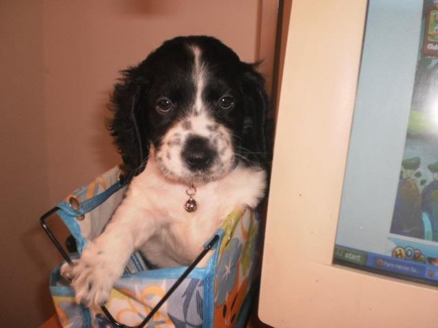 Larry a tre mesi di vita