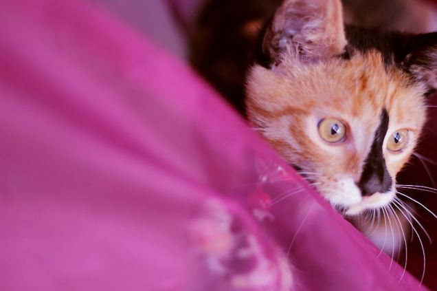 amo guardare il mio riflesso, sono proprio narcisista