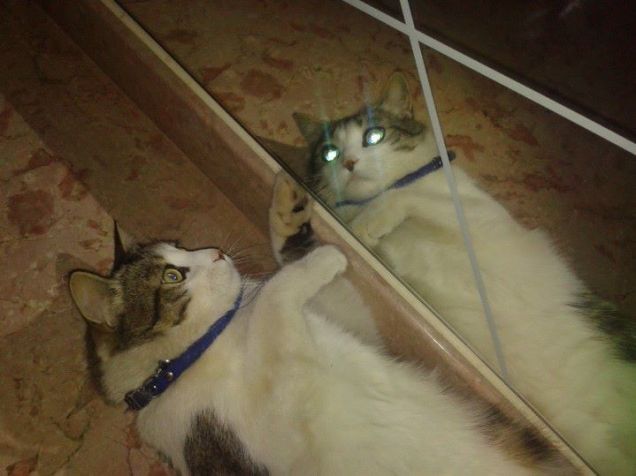 dottor jekyll e mister hyde