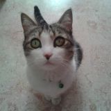 Ilaria