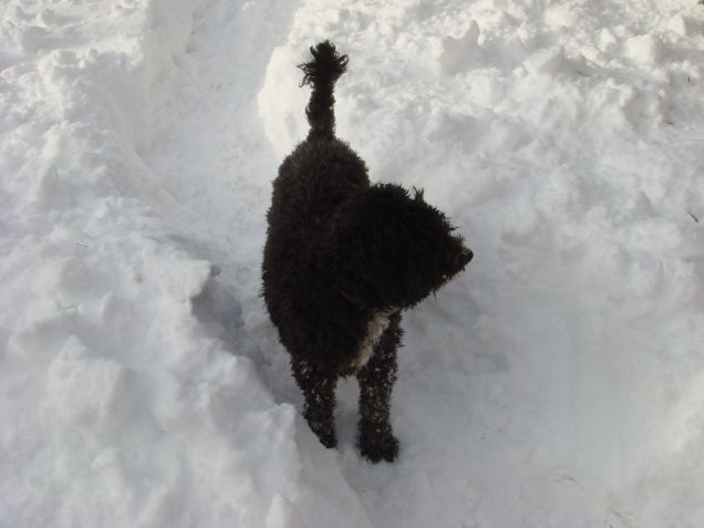 briciola nella neve!!!