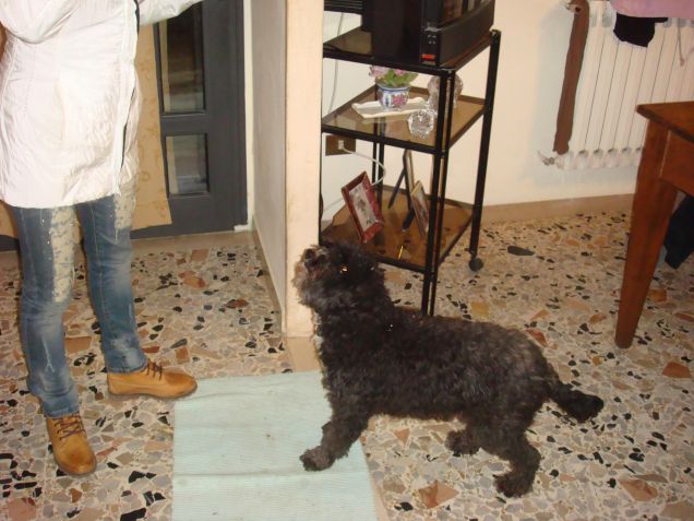 briciola ke aspetta i nuovi DELIBAKE!!!!!!