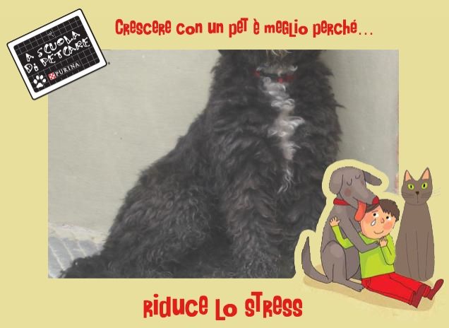 la mia super briciola!