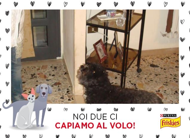 la mia super Briciola!!!