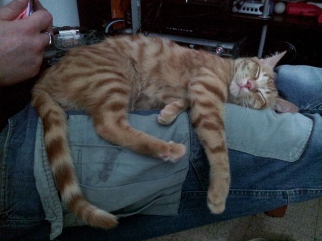 Il mio letto preferito