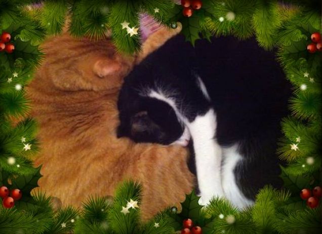 Pavel e Ronaldinho dormono insieme