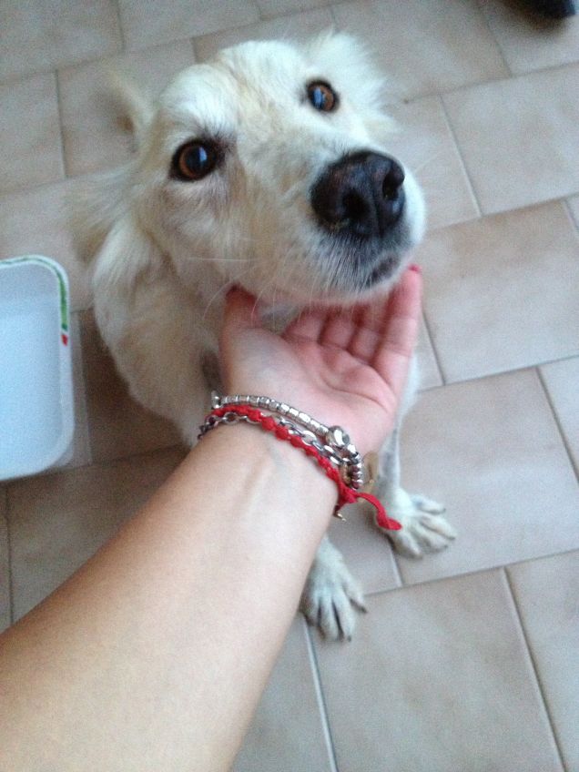 il mio Sguardo dolce!