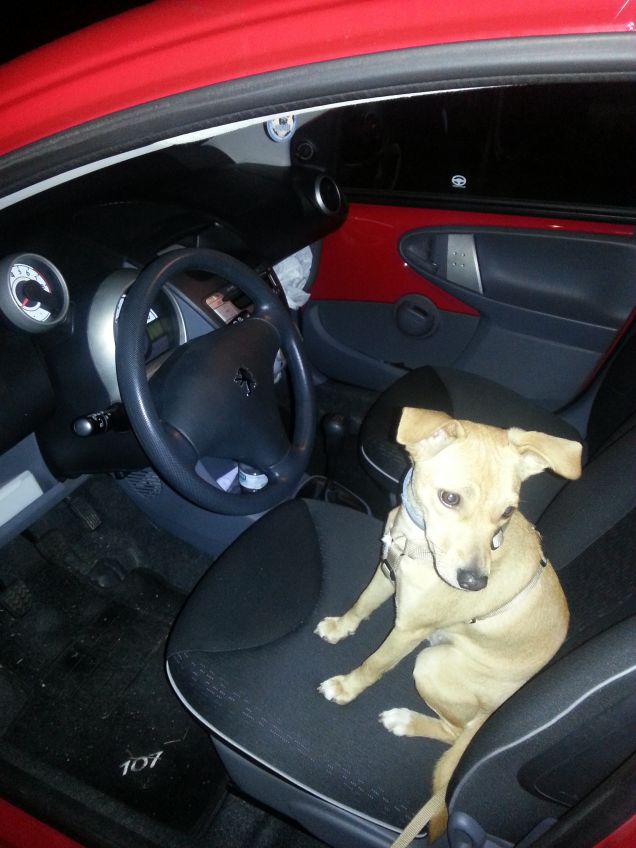 Guida spericolata ;)