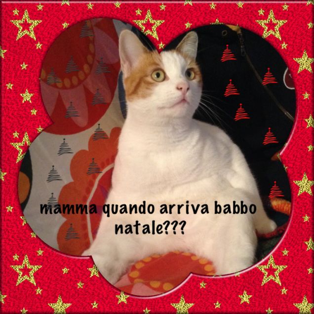 aspettando natale