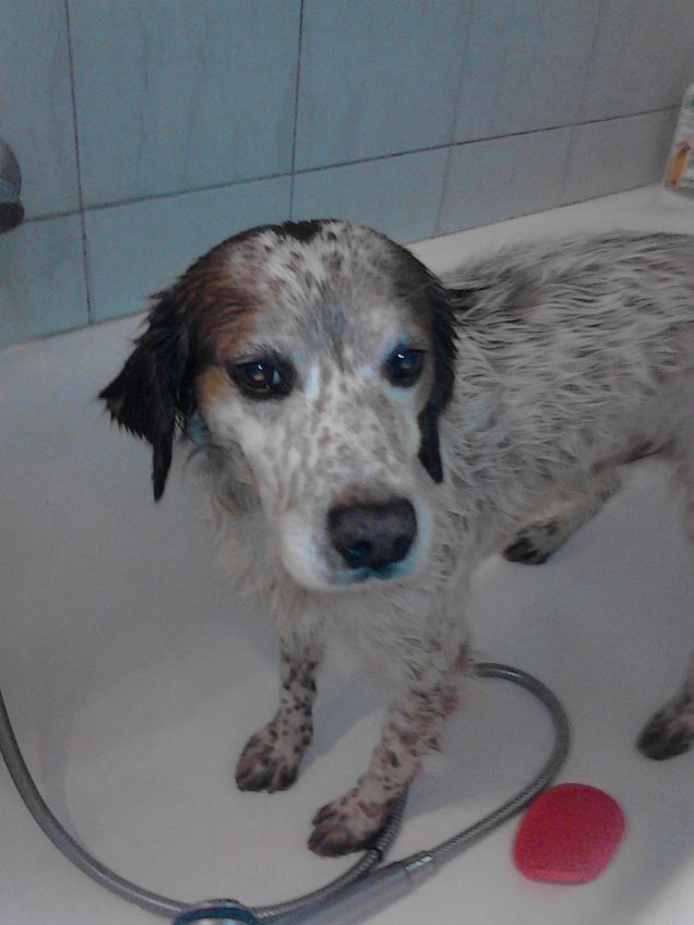 se la metti su facebook ti azzanno!