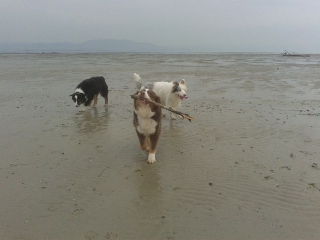 Una giornata in spiaggia