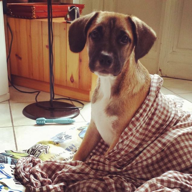 Traumatizzato dal bagnetto