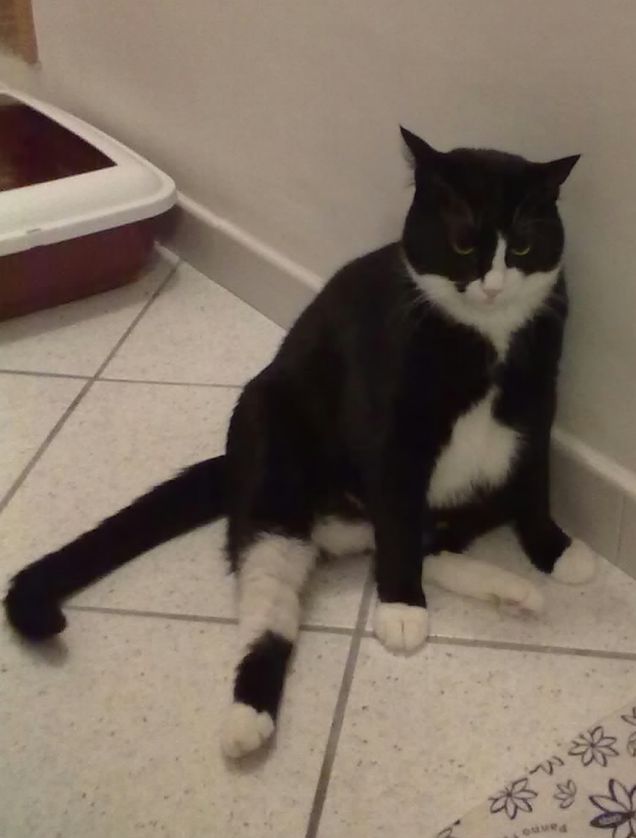 che stanchezza......