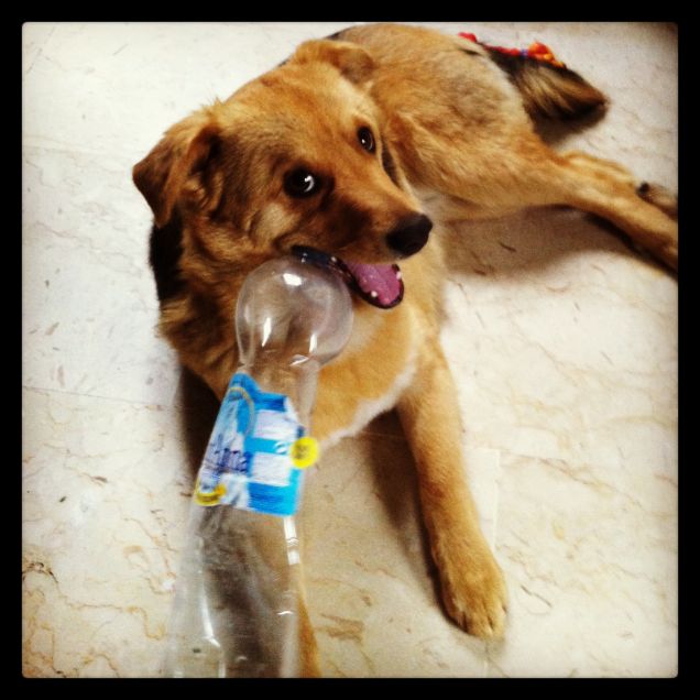 Tommy e il suo gioco preferito..!