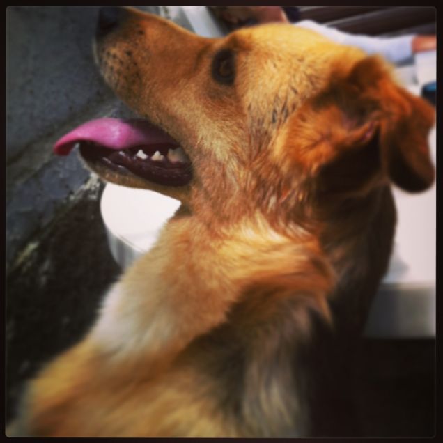 Il suo profilo greco...