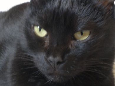 Nerone