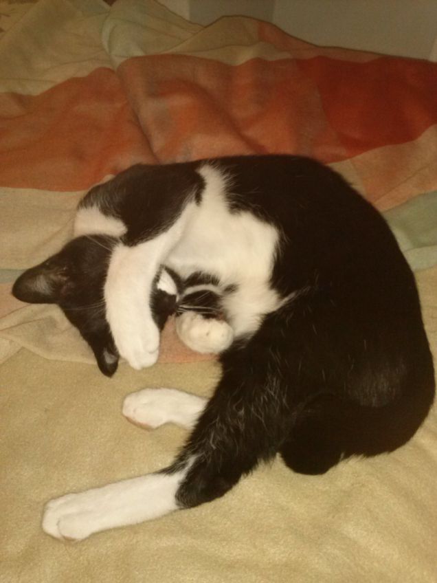 noooo...la luceeee!!!