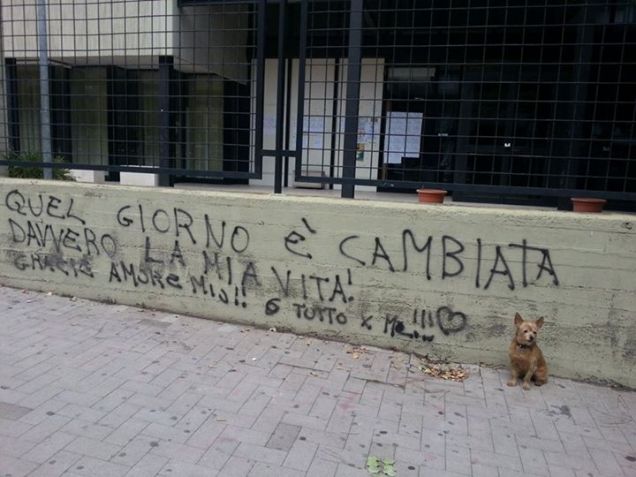 l'amorino mio piccolo