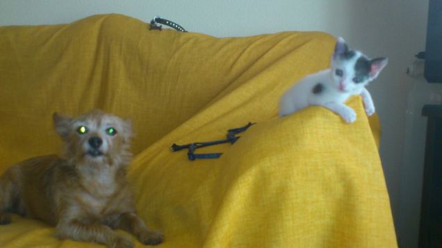 Floppy e la sua piccola amica Pippy