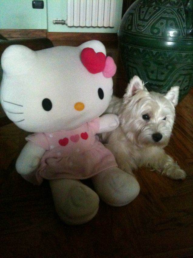 Joy e la sua migliore amica...HELLO KITTY!!