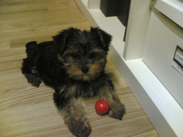 winnie con al sua pallina