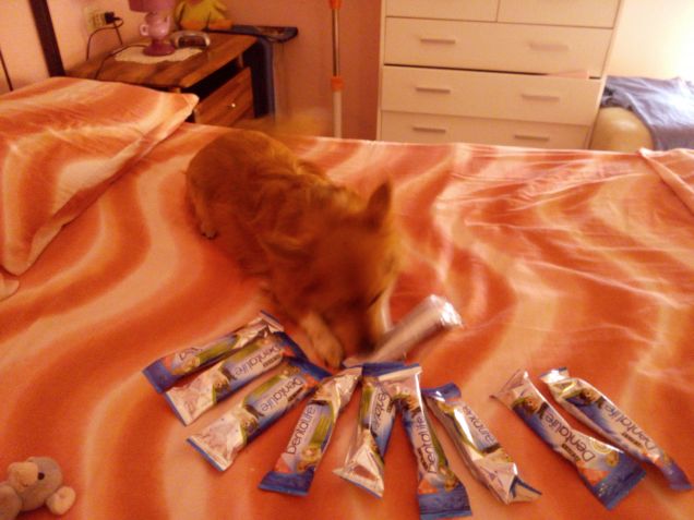 Snoopy alle prese con Dentalife 