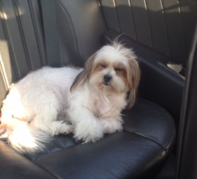 La nanna in macchina