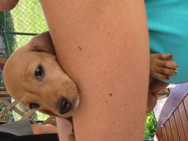 Ecco la mia piccolina!