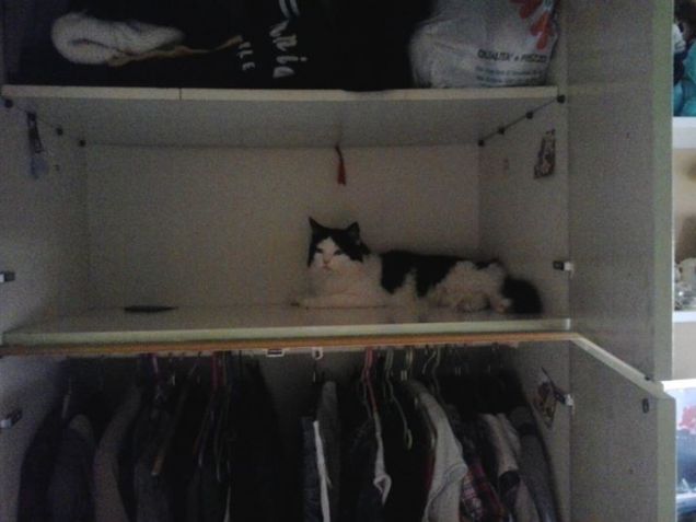 un nuovo capo d' abbigliamento