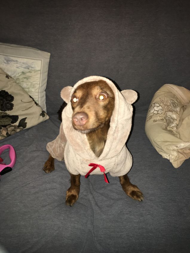 inverno siamo pronte