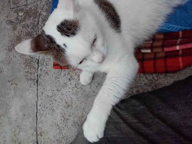 In giardino dopo l'operazione