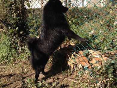 Union d'Italia della Val Metauro