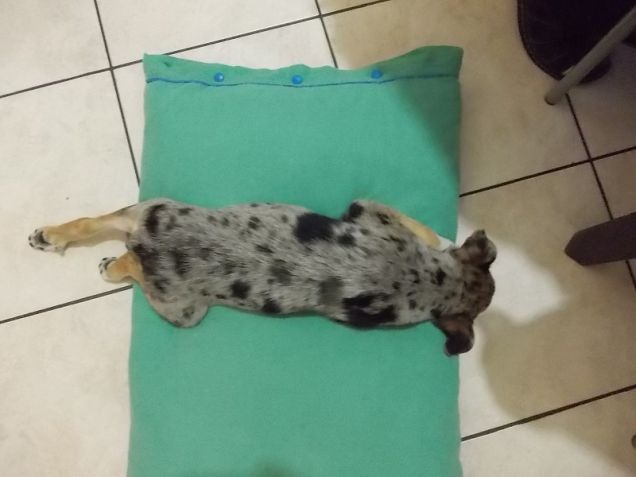 Si dorme con....fantasia!