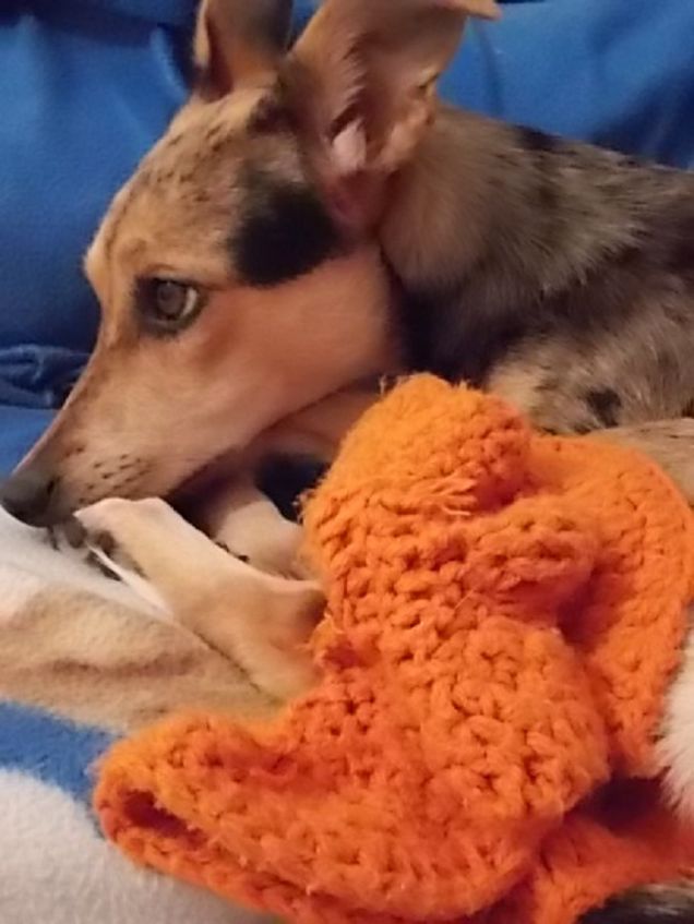 Quanti pensieri.....