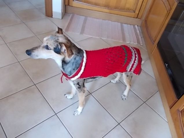 Pronta per il Natale....