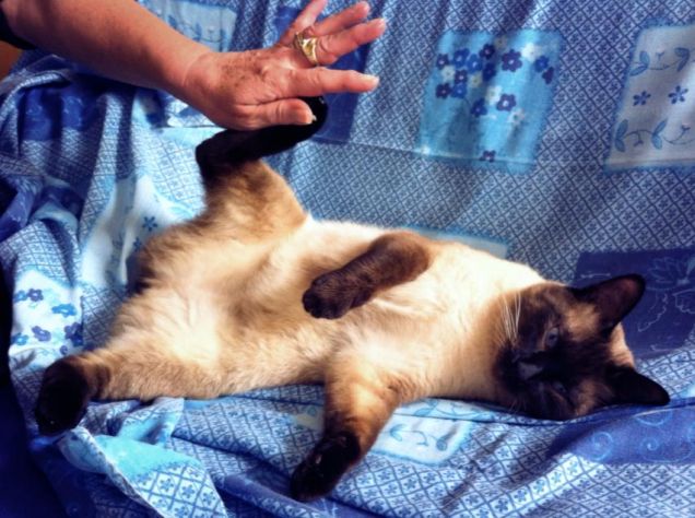 Col personal trainer..