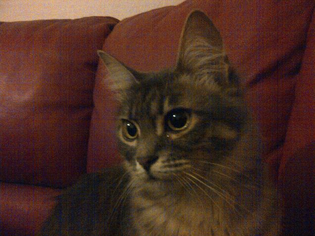 programma interessante