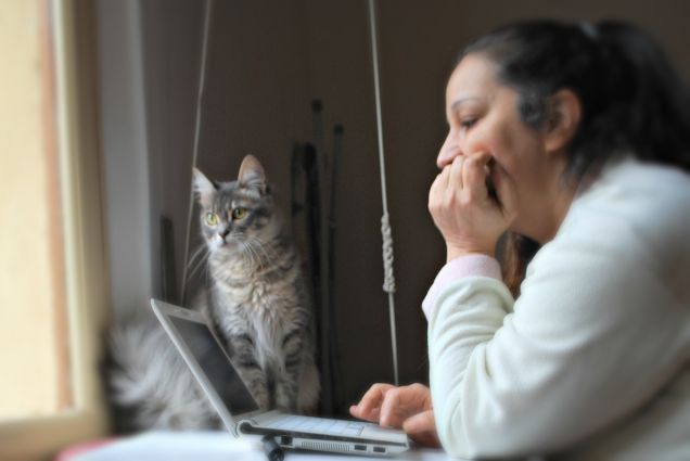 mentre mamma aggiusta il pc di papi io spio......