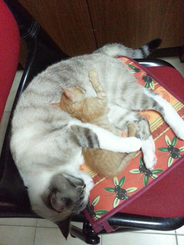 stiamo vicini vicini