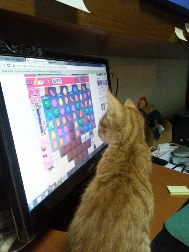 kimi gioca a candy crush 