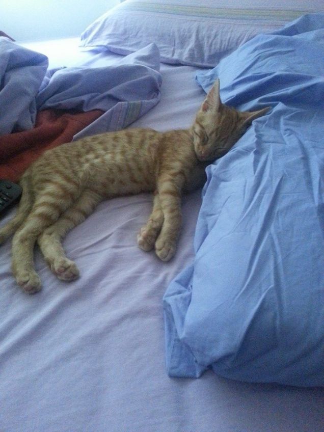 la domenica amo dormire fino a tardi