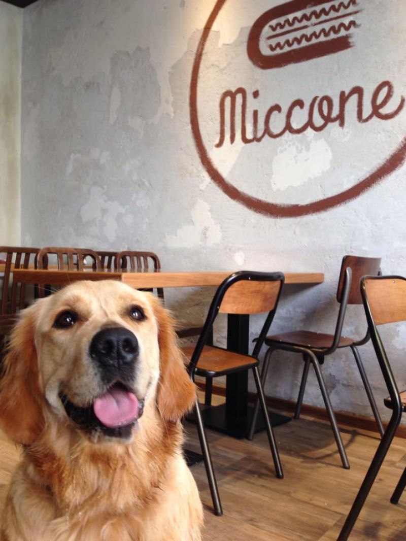 bar il miccone