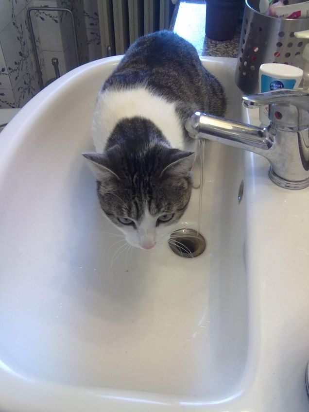 La mia piccola Letizia