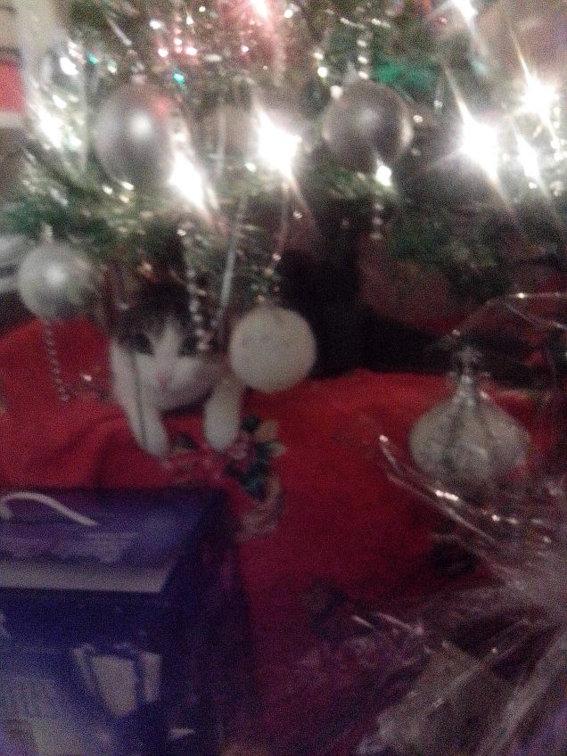 La mia piccola Letizia